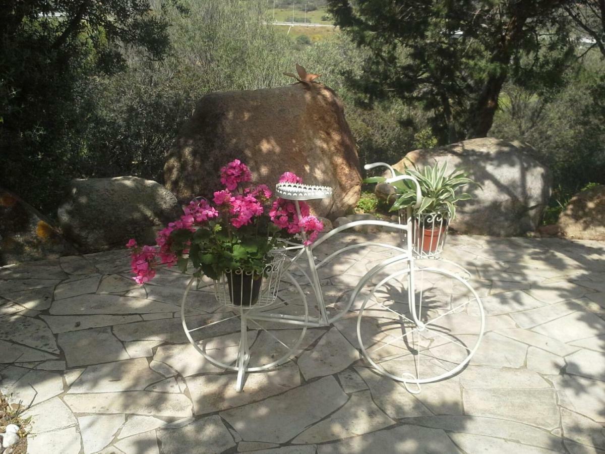 Villa Desideria B&B Capitana Eksteriør bilde